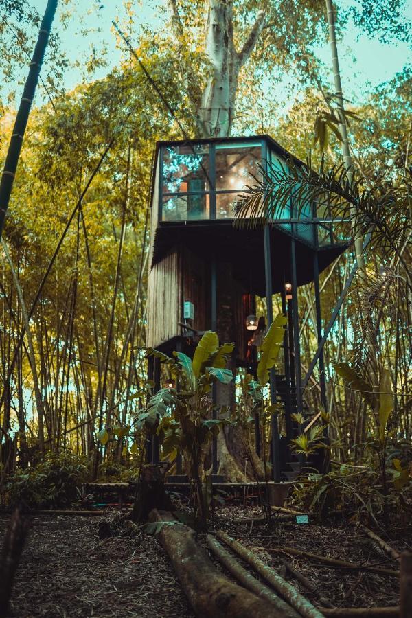 Amanatu Ecolodge & Spa Quimbaya Dış mekan fotoğraf
