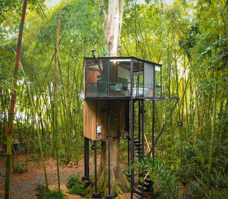 Amanatu Ecolodge & Spa Quimbaya Dış mekan fotoğraf