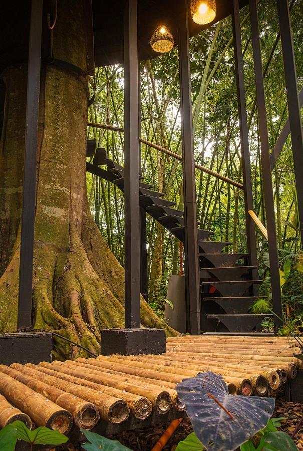 Amanatu Ecolodge & Spa Quimbaya Dış mekan fotoğraf